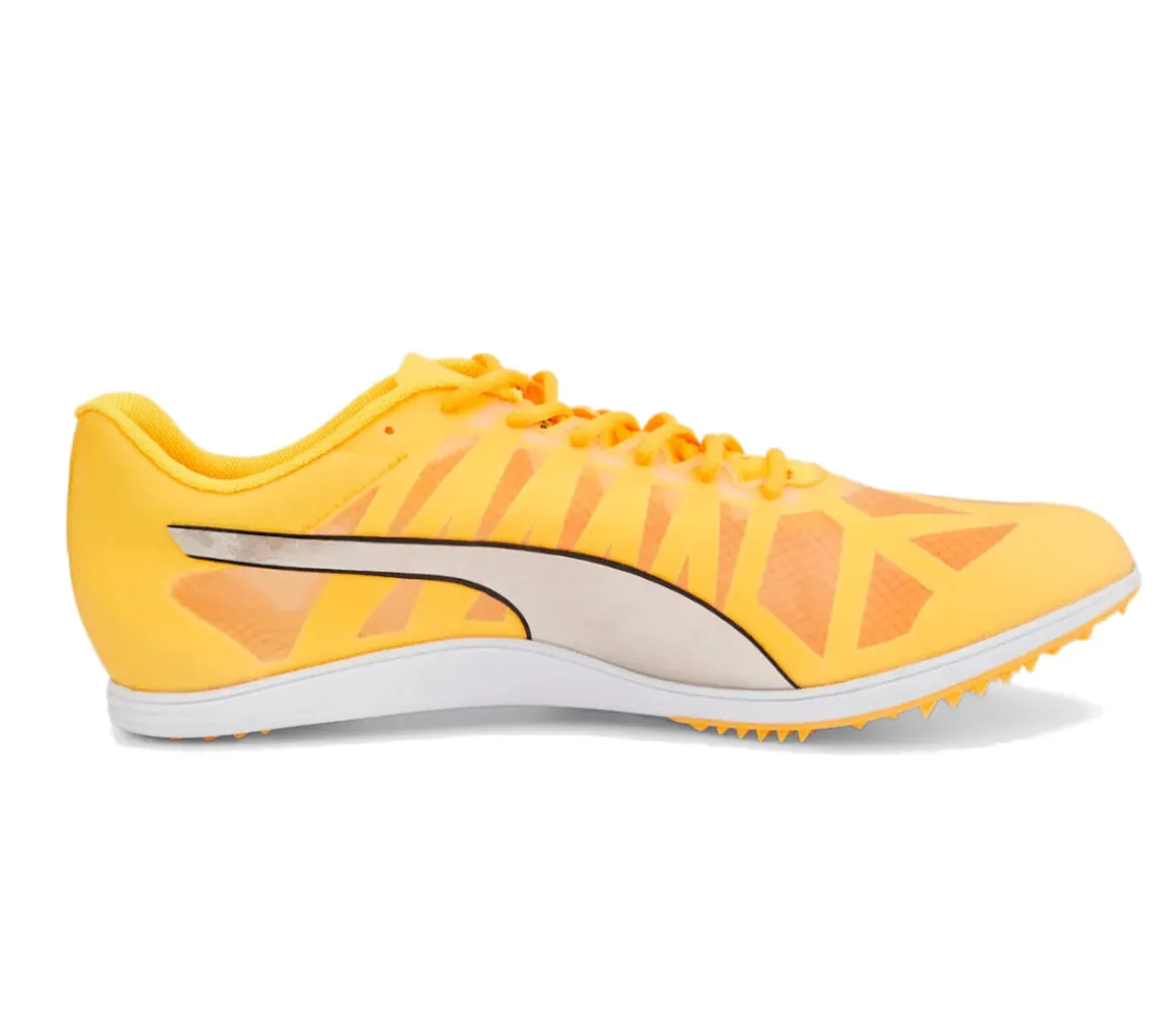 EvoSPEED Distance 10