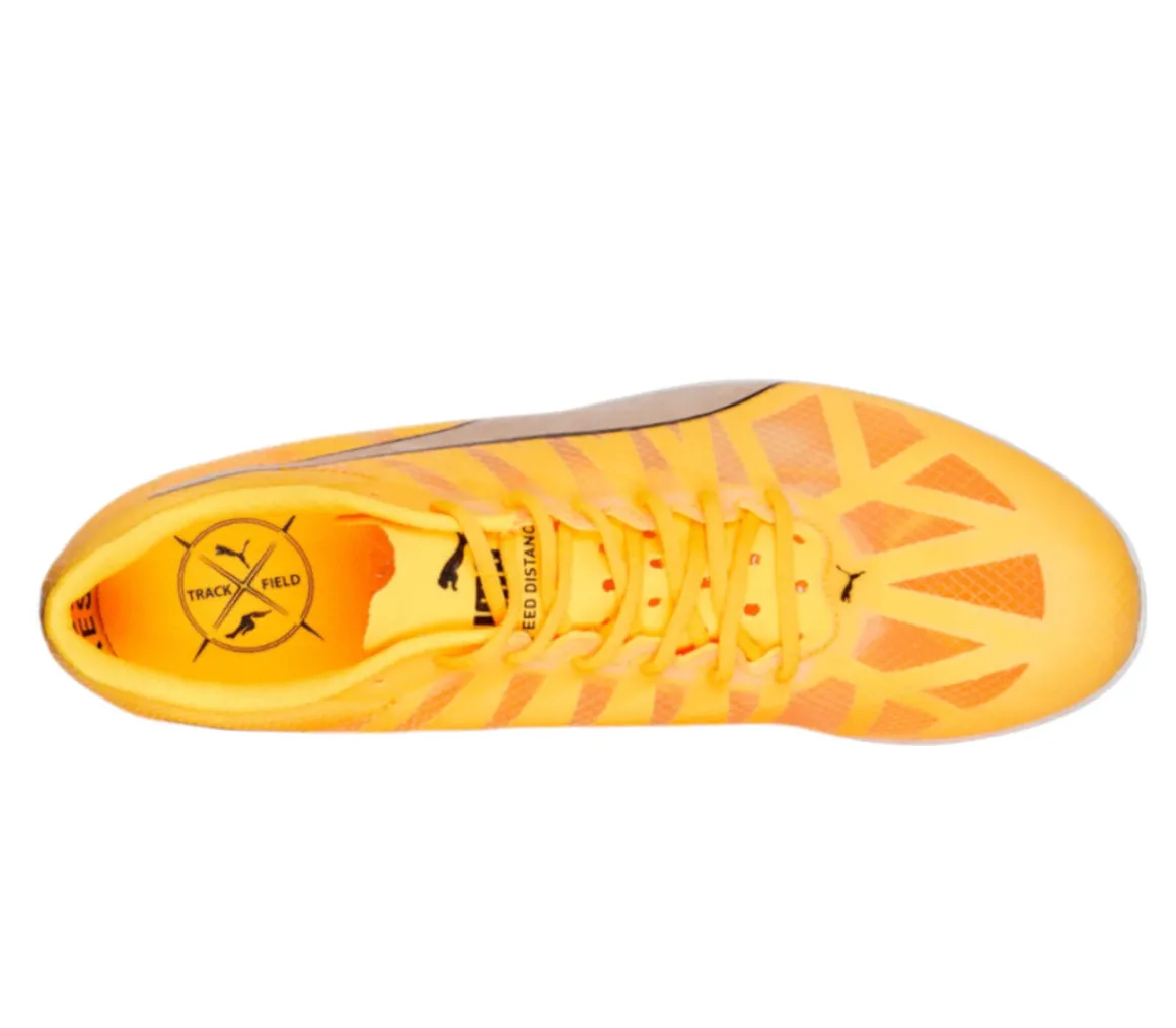 EvoSPEED Distance 10