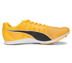 EvoSPEED Distance 11