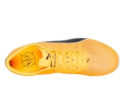 EvoSPEED Distance 11