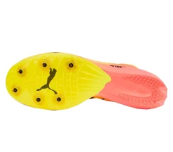 EvoSPEED Distance Nitro Elite