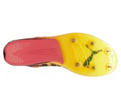 evoSPEED Long Distance Nitro Elite 2