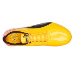EvoSPEED Sprint 14