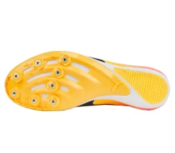 EvoSPEED Sprint 14