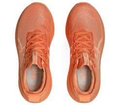 Gel-Nimbus 27 Lite-Show